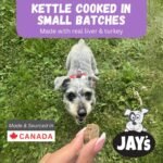 Jay's Soft & Chewy My Mighty Wolf Turkey Dog Treats 454g Made in Canada - Image 6