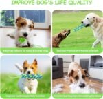 Spring Pole Dog Rope Toys, Dog Interactive Tether Tug of War Toy, Indoor/Outdoor Bungee Hanging Toy for Exercise and Solo Play for Small Medium to Large Dogs - Image 6