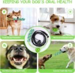 Spring Pole Dog Rope Toys, Dog Interactive Tether Tug of War Toy, Indoor/Outdoor Bungee Hanging Toy for Exercise and Solo Play for Small Medium to Large Dogs - Image 7