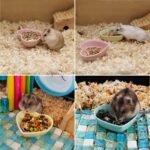 3 Pcs Hamster Ceramic Food Bowl, Turning Food Water Dish for Hamster Gerbil Hedgehog Rat Rodent (Green +Pink+Blue) - Image 4