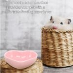 3 Pcs Hamster Ceramic Food Bowl, Turning Food Water Dish for Hamster Gerbil Hedgehog Rat Rodent (Green +Pink+Blue) - Image 8