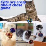 Cat Toys 20 Packs Interactive Crinkle Ball, 2.3 Inch Bright Colors Cat Ball Toys to Attract and Engage Cats, Beat Boredom, Boost Exercise, and Promote a Healthy Lifestyle for Indoor Cats - Image 6