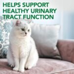 Vet's Best Feline Urinary Tract Support Cat Supplements, 60 Chewable Tablets - Image 4