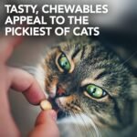 Vet's Best Feline Urinary Tract Support Cat Supplements, 60 Chewable Tablets - Image 7
