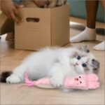 Andiker Cat Toys for Indoor Cats,10.24in Plush Catnip Toy with Crinkle Paper Inside,Fluffy Interactive Cat Toy with Feather and 2 Sisal Scratchers for Biting, Chewing, Scratching and Kicking - Image 5