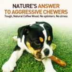 Wildfang® Olive Wood Chewing Sticks for Dogs, M – Tough Chew Toys for Aggressive Chewers, Puppy Chew Toys for Teething, Training for Chewing Muscles, Olive Wood Stick for Dogs 15–25 kg (Pack of 1) - Image 4