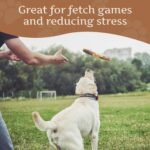 Wildfang® Olive Wood Chewing Sticks for Dogs, M – Tough Chew Toys for Aggressive Chewers, Puppy Chew Toys for Teething, Training for Chewing Muscles, Olive Wood Stick for Dogs 15–25 kg (Pack of 1) - Image 8