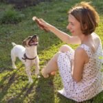 Wildfang® Olive Wood Chewing Sticks for Dogs, M – Tough Chew Toys for Aggressive Chewers, Puppy Chew Toys for Teething, Training for Chewing Muscles, Olive Wood Stick for Dogs 15–25 kg (Pack of 1) - Image 10