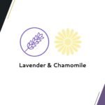 Wahl Canada No Rinse Shampoo for Cats, Calming Formula Shampoo in Lavender Chamomile, Freshens and Conditions The Coat, Waterless Shampoo, Foam Dispenser, 210ml, Model 58300 - Image 3