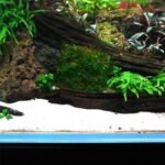 LINLAN 24 Pieces 3.1X3.1in (8X8cm) Aquarium Moss Mesh, 304 Stainless Steel Aquatic Moss Wall, Easy to Cut, for Fixing and Propagating Aquatic Mosses, DIY Aquarium Filtration, and Aquascaping - Image 6