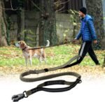 Heavy Duty Tactical Dog Leash with Quick Release Carabiner and Highly Reflective Threads,4-6FT Power Stretch Dog Leash for Medium Large Dogs (Army Green) - Image 4