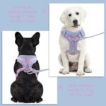 Wolfone No Pull Dog Harness Adjustable Soft Padded Pet Vest with Control Handle Adorable Daily Harness for Dogs（Spun Sugar S） - Image 6