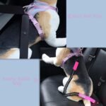 Wolfone No Pull Dog Harness Adjustable Soft Padded Pet Vest with Control Handle Adorable Daily Harness for Dogs（Spun Sugar S） - Image 7