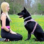 Wolfone No Pull Dog Harness Adjustable Soft Padded Pet Vest with Control Handle Adorable Daily Harness for Dogs（Spun Sugar S） - Image 8