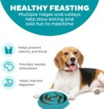 Outward Hound Fun Feeder Slo Bowl, Medium Slow Feeder Dog Bowl, 2 Cups, Turquoise - Image 3