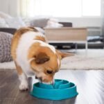 Outward Hound Fun Feeder Slo Bowl, Medium Slow Feeder Dog Bowl, 2 Cups, Turquoise - Image 7