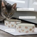 Pearhead Ceramic Bowl, Holds 2 Cups, Cute Whisker-Friendly Dish with Cat Face Design, Non-Slip, Microwave and Dishwasher Safe, Small/Medium - Image 3