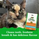 GREENIES Feline Cat Treats Natural Dental Care, Oven Roasted Chicken Flavour, 2.1oz. Pouch - Image 5