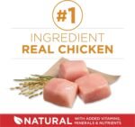 Purina ONE Dry Dog Food, Chicken & Rice - 14 kg Bag - Image 5