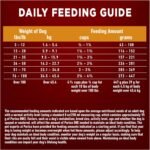 Purina ONE Dry Dog Food, Chicken & Rice - 14 kg Bag - Image 11