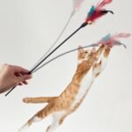 5Pcs Cat Feather Teaser Stick with Rattle Bell,20" Long Interactive Wand Toy for Cat and Kitten - Image 6