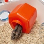 Ferplast CAGE Combi 1 Hamster, Modular Habitat, 15, 94x11, 61xH 8, 86-Inch - Image 6