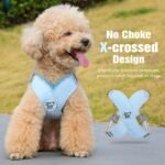 Pawaboo Small Dog Harness and Leash Set, Puppy Harness X-Frame No Pull No Choke, Dog Vest Harness Adjustable for Small Medium Sized Dogs, Soft Breathable Pet Harness for Walking Outing (S, Blue) - Image 4