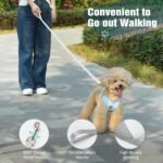 Pawaboo Small Dog Harness and Leash Set, Puppy Harness X-Frame No Pull No Choke, Dog Vest Harness Adjustable for Small Medium Sized Dogs, Soft Breathable Pet Harness for Walking Outing (S, Blue) - Image 7