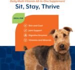 All-in-One Dog Soft Chew Supplement, Skin & Coat Health, Joint Support, Digestive Health, Vitamin and Mineral Support, Overall Health Boost For Your Dog, Made by NaturVet - Image 5