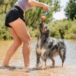 Chuckit! Medium Ultra Duo Tug - Image 3