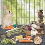 Rabbit Toys Guinea Pig Toys Hamster Toys Bunny Toys 18Pcs Natural Timothy Hay Sticks Apple Wood Sticks Chinchilla Toys for Teeth Care Handmade - Image 3