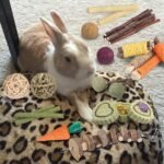 Rabbit Toys Guinea Pig Toys Hamster Toys Bunny Toys 18Pcs Natural Timothy Hay Sticks Apple Wood Sticks Chinchilla Toys for Teeth Care Handmade - Image 5