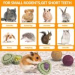 Rabbit Toys Guinea Pig Toys Hamster Toys Bunny Toys 18Pcs Natural Timothy Hay Sticks Apple Wood Sticks Chinchilla Toys for Teeth Care Handmade - Image 6