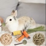 Rabbit Toys Guinea Pig Toys Hamster Toys Bunny Toys 18Pcs Natural Timothy Hay Sticks Apple Wood Sticks Chinchilla Toys for Teeth Care Handmade - Image 7