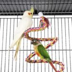 69in Play Top Parrot Cage Wrought Metal Rolling Bird Cage wtih Industrial Wheels Feeding Bowls Perches & Bungee Rope, Black - Image 6