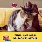 TEMPTATIONS Mix-Ups Adult Cat Treats Tuna, Shrimp & Salmon Flavour, 850g Tub - Image 3