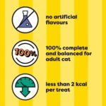 TEMPTATIONS Mix-Ups Adult Cat Treats Tuna, Shrimp & Salmon Flavour, 850g Tub - Image 5