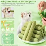 100g Cat Grass Teething Stick for Cat Kittens Hairball Removal, Natural Dried Cat Grass Treats Snacks, Edible Cat Chew Sticks Toys, Pet Snacks for Cat Dental Care, Increase Appetite (Small, Grass) - Image 6