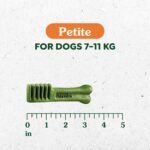 GREENIES Dog Treats Original Petite Natural Dental Care, (90 Treats) 54oz. Pack - Image 4