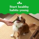 GREENIES Dog Treats Original Petite Natural Dental Care, (90 Treats) 54oz. Pack - Image 12