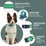 Roses&Poetry Bluegreen Small Dog Collar and Leash Set, Puppy Reflective Leashes with Collars, Adjustable Durable Matching Collar Leash for Small Dogs Girl (Bluegreen-S) - Image 3