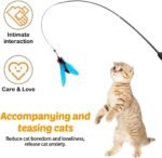 DONGKER Cat Teaser Wand,Retractable Kitten Fishing Pole Toy for Cat Kitten Reduce Boredom(Not Include Replacement) - Image 8