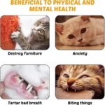 DONGKER Cat Teaser Wand,Retractable Kitten Fishing Pole Toy for Cat Kitten Reduce Boredom(Not Include Replacement) - Image 9