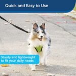 PetSafe Nylon Dog Leash - Strong, Durable, Traditional Style Leash with Easy to Use Bolt Snap - 3/4" x 6', Black - Image 4