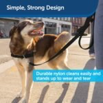 PetSafe Nylon Dog Leash - Strong, Durable, Traditional Style Leash with Easy to Use Bolt Snap - 3/4" x 6', Black - Image 5