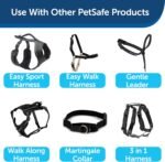 PetSafe Nylon Dog Leash - Strong, Durable, Traditional Style Leash with Easy to Use Bolt Snap - 3/4" x 6', Black - Image 7