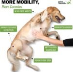 Deley Naturals Hip and Joint Supplement for Dogs - Glucosamine Chondroitin MSM & Collagen for Dogs - Dog Joint Supplement, Smaller Chews, Low Calories, Same Ingredients - 120 Chicken Flavor Chews - Image 4