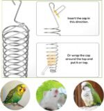 2Pcs Rat Enrichment Toys, 304 Stainless Steel Foraging Toy for Rats, Mice & Birds – Hanging Rodent Chew Toy, Slow Feeder, Small Animal Cage Accessories for Parakeets, Hamsters & Parrots - Image 4