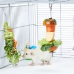 2Pcs Rat Enrichment Toys, 304 Stainless Steel Foraging Toy for Rats, Mice & Birds – Hanging Rodent Chew Toy, Slow Feeder, Small Animal Cage Accessories for Parakeets, Hamsters & Parrots - Image 6