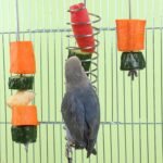 2Pcs Rat Enrichment Toys, 304 Stainless Steel Foraging Toy for Rats, Mice & Birds – Hanging Rodent Chew Toy, Slow Feeder, Small Animal Cage Accessories for Parakeets, Hamsters & Parrots - Image 7